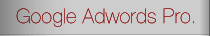 Google Adwords Pro.