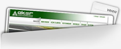 Aker Web Sitesi